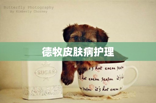 德牧皮膚病護理