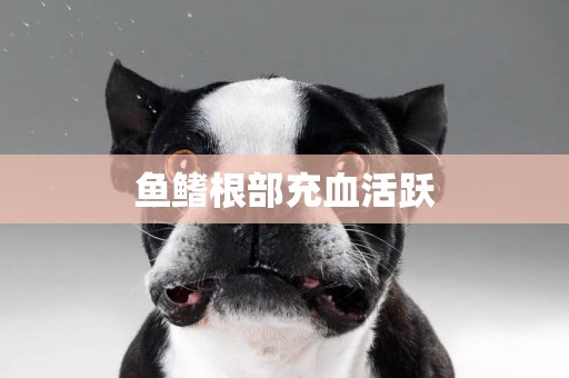 魚鰭根部充血活躍