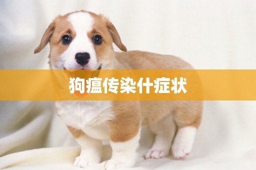 狗瘟傳染什癥狀