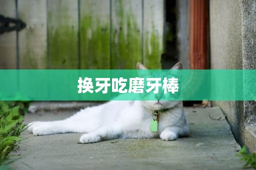 換牙吃磨牙棒