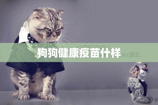 狗狗健康疫苗什樣