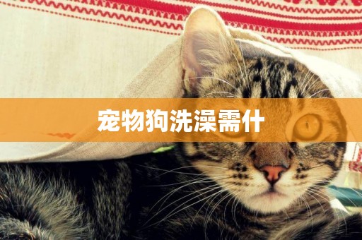 寵物狗洗澡需什