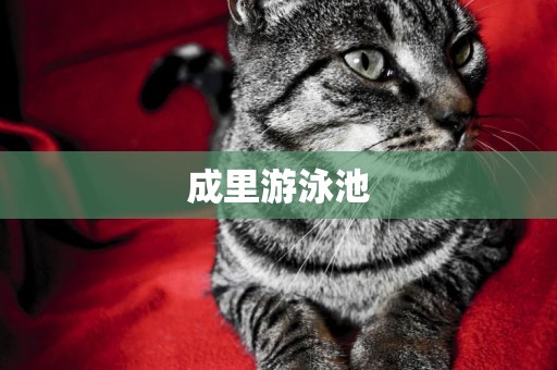 成里游泳池