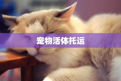 寵物活體托運