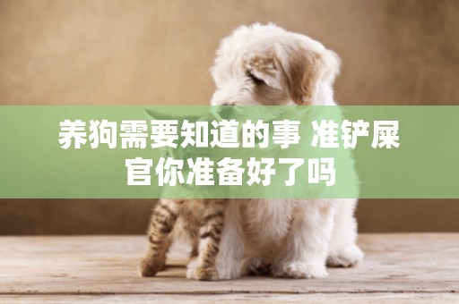 養狗需要知道的事 準鏟屎官你準備好了嗎