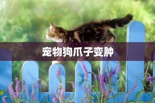 寵物狗爪子變腫