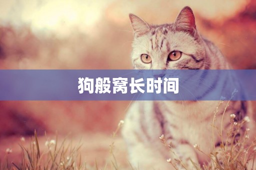狗般窩長時間