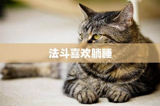 法斗喜歡躺睡