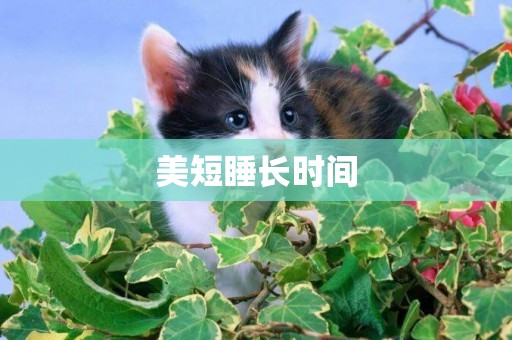 美短睡長時間