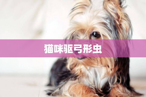 貓咪驅弓形蟲