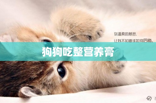 狗狗吃整營養膏
