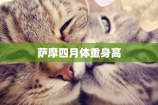 薩摩四月體重身高