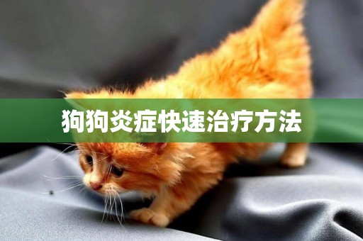 狗狗炎癥快速治療方法
