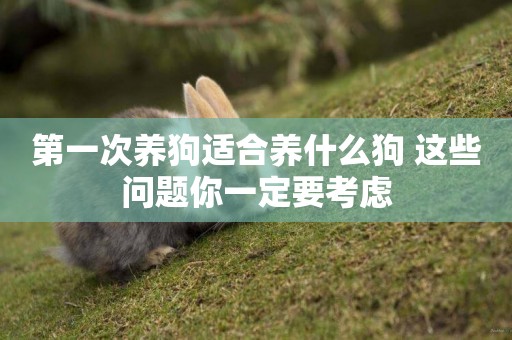 第一次養狗適合養什么狗 這些問題你一定要考慮