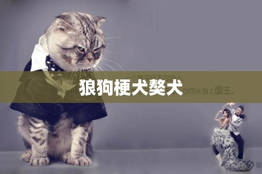 狼狗梗犬獒犬