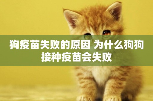 狗疫苗失敗的原因 為什么狗狗接種疫苗會失敗