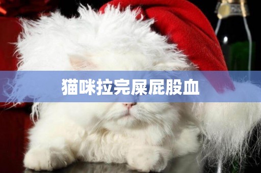 貓咪拉完屎屁股血