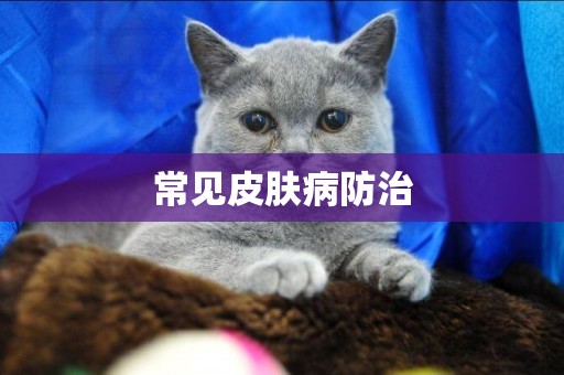 常見皮膚病防治