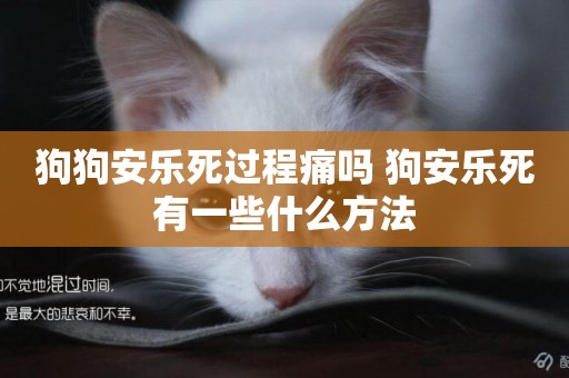 狗狗安樂死過程痛嗎 狗安樂死有一些什么方法