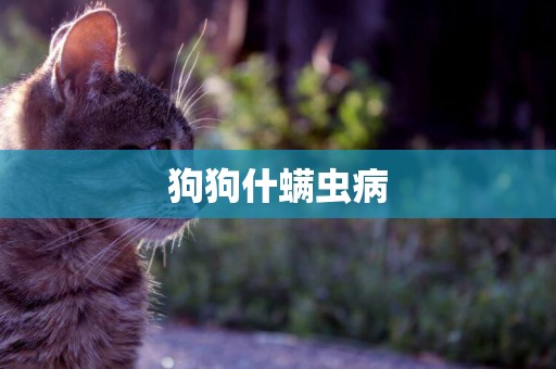 狗狗什螨蟲病