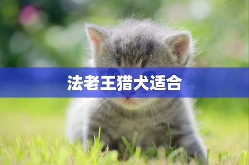 法老王獵犬適合