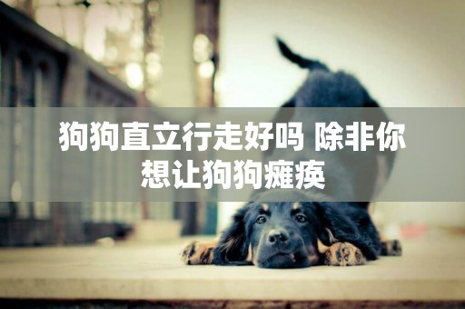 狗狗直立行走好嗎 除非你想讓狗狗癱瘓