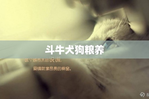 斗牛犬狗糧養