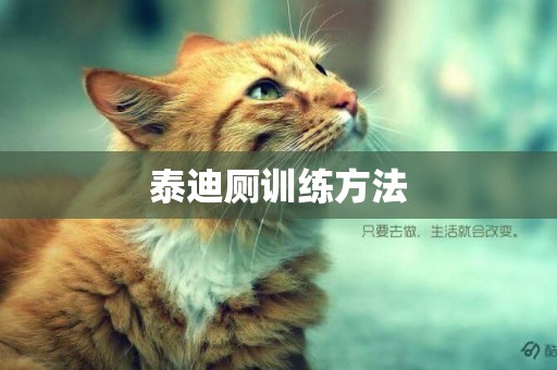 泰迪廁訓練方法