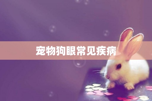 寵物狗眼常見疾病