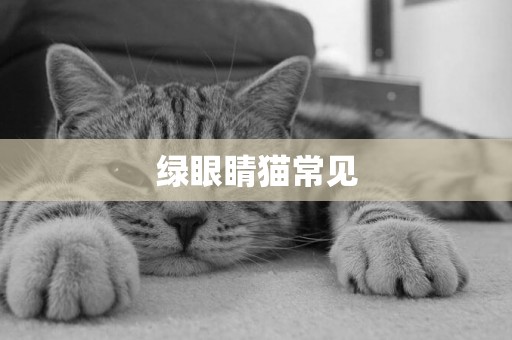 綠眼睛貓常見