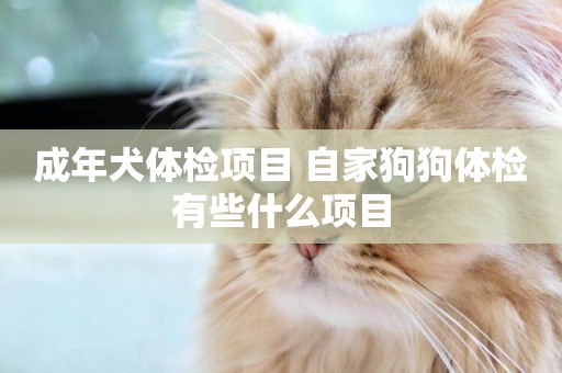 成年犬體檢項目 自家狗狗體檢有些什么項目