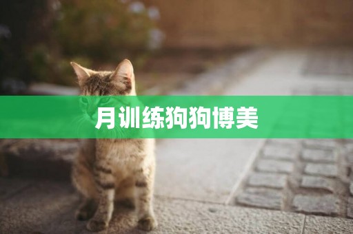 月訓練狗狗博美