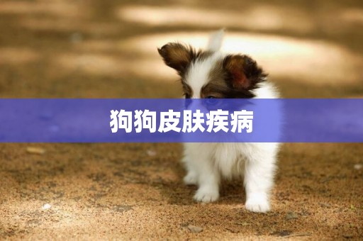 狗狗皮膚疾病