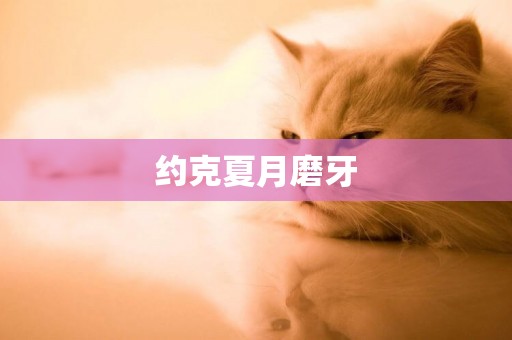 約克夏月磨牙