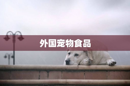 外國寵物食品