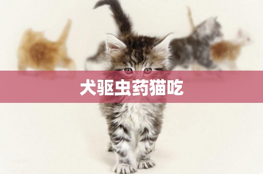 犬驅蟲藥貓吃