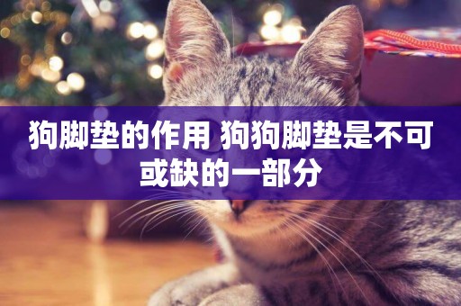 狗腳墊的作用 狗狗腳墊是不可或缺的一部分