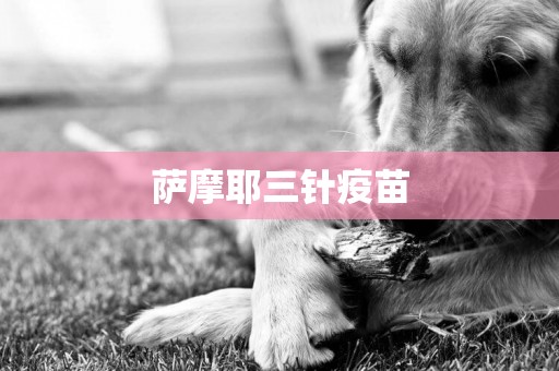 薩摩耶三針疫苗