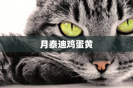 月泰迪雞蛋黃