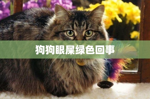 狗狗眼屎綠色回事