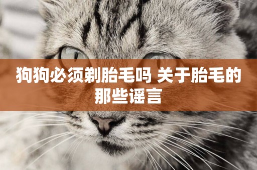 狗狗必須剃胎毛嗎 關于胎毛的那些謠言