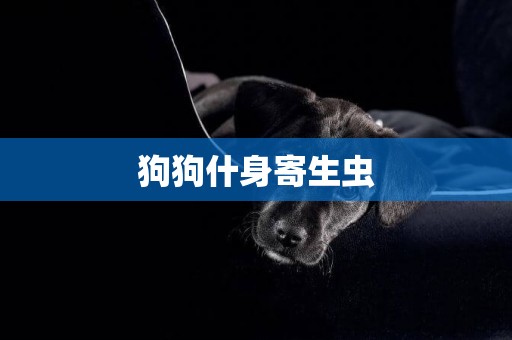 狗狗什身寄生蟲