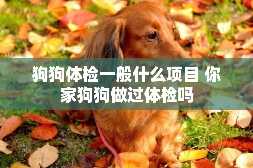狗狗體檢一般什么項目 你家狗狗做過體檢嗎