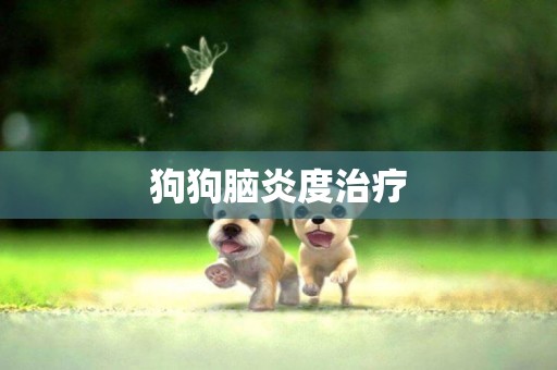 狗狗腦炎度治療