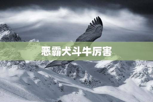 惡霸犬斗牛厲害