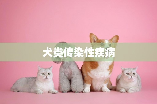 犬類傳染性疾病