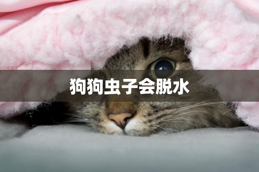 狗狗蟲子會脫水