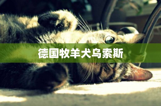 德國牧羊犬烏索斯