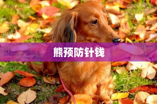 熊預防針錢