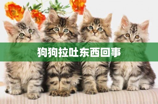 狗狗拉吐東西回事